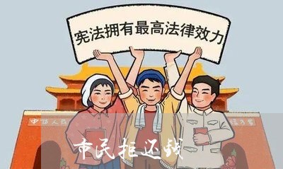 市民拒还钱/2023121681838