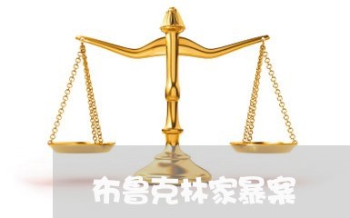 布鲁克林家暴案/2023090635847