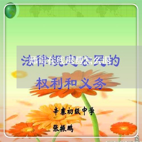 师哥在线退费怎么退/2023061671592