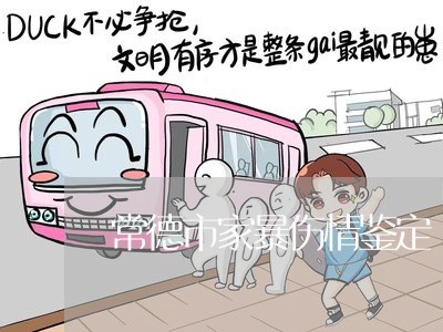 常德市家暴伤情鉴定/2023110740281