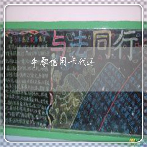 平原信用卡代还/2023072393159