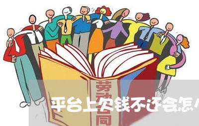 平台上欠钱不还会怎么样吗/2023121051484