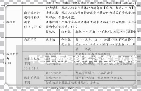 平台上面欠钱不还会怎么样/2023110815938