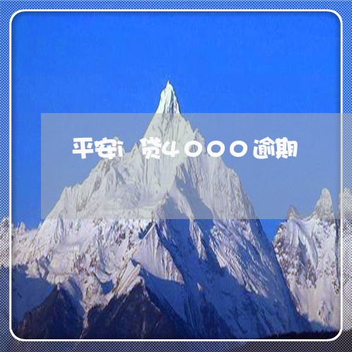 平安i贷4000逾期/2023111442625