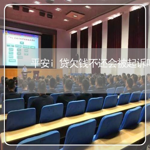 平安i贷欠钱不还会被起诉吗/2023110727939