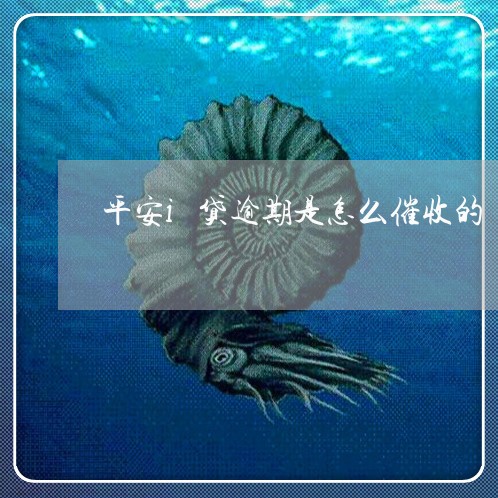 平安i贷逾期是怎么催收的/2023052788250