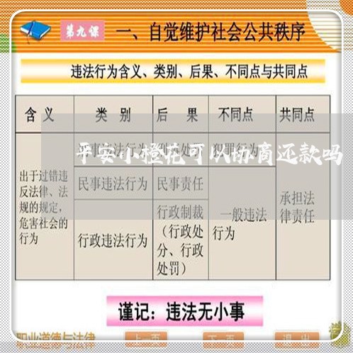 平安小橙花可以协商还款吗/2023100615059