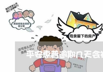 平安惠普逾期几天会被起诉/2023091616938