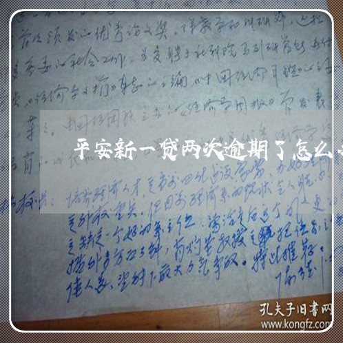 平安新一贷两次逾期了怎么办/2023061682804