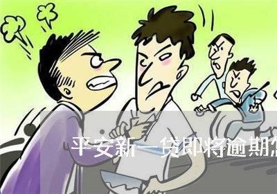 平安新一贷即将逾期怎么办/2023091504047