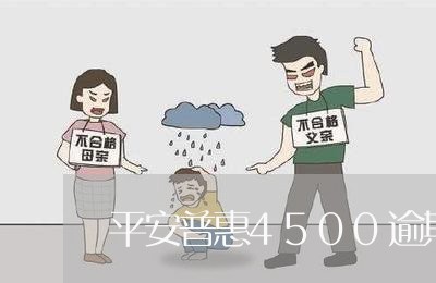 平安普惠4500逾期/2023111440483