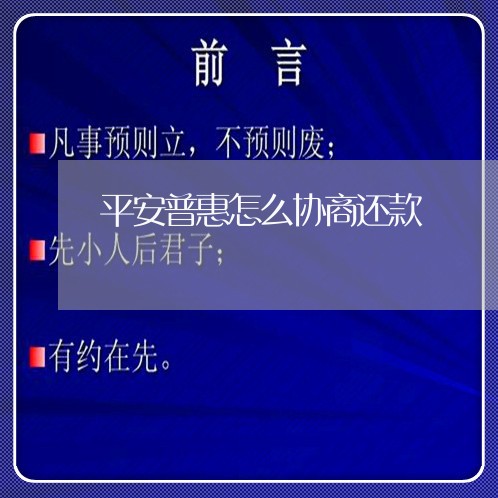 平安普惠怎么协商还款/2023101766250