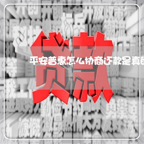 平安普惠怎么协商还款是真的吗/2023100787359