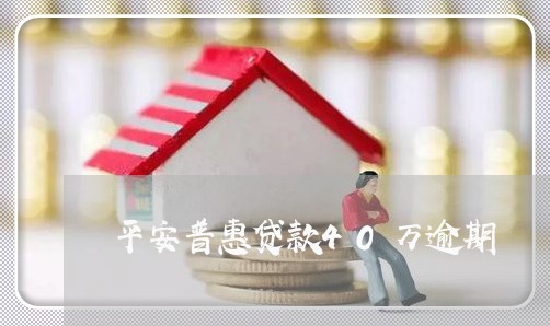 平安普惠贷款40万逾期/2023072505047