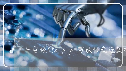 平安银行app可以协商还款吗/2023100695917