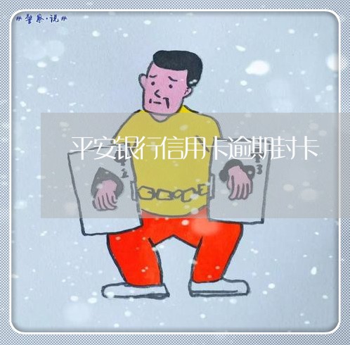 平安银行信用卡逾期封卡/2023120508260