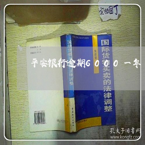 平安银行逾期6000一年/2023052785958