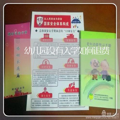 幼儿园没有入学如何退费/2023052071715