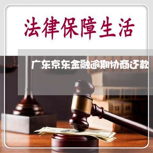 广东京东金融逾期协商还款/2023092288452