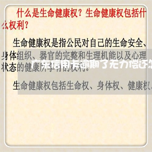 广东信用卡逾期了无力偿还怎么办/2023081239259