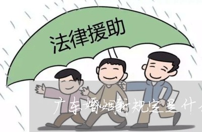 广东婚姻新规定是什么/2023112592838