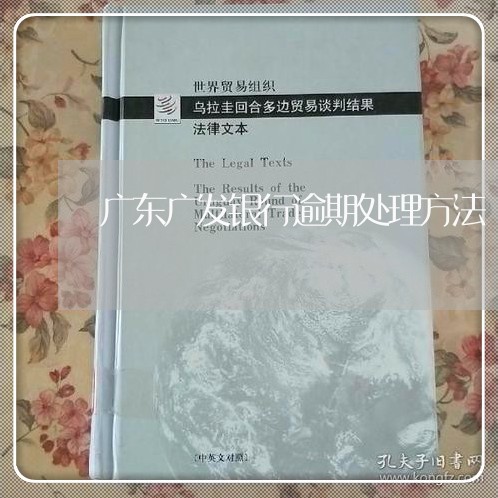 广东广发银行逾期处理方法/2023052804938