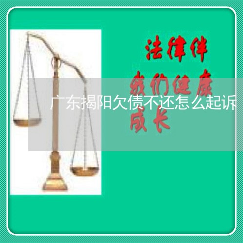 广东揭阳欠债不还怎么起诉/2023102521715