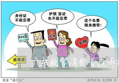 广东数字消费者投诉热线/2023031883949