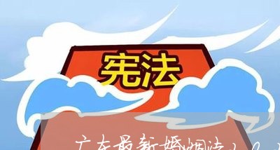 广东最新婚姻法2023/2023112485825