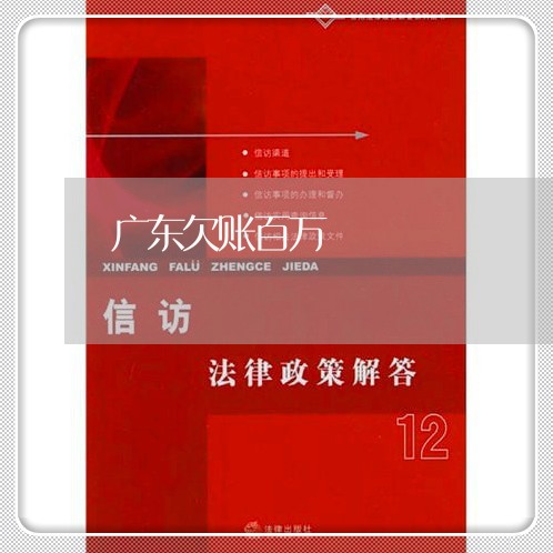 广东欠账百万/2023121826957