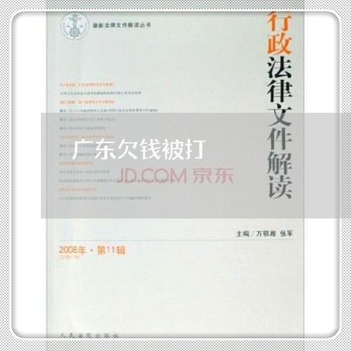 广东欠钱被打/2023100918507