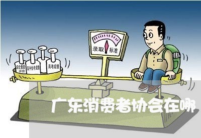 广东消费者协会在哪/2023060814846