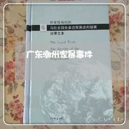 广东潮州家暴事件/2023101250572