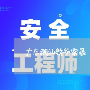 广东潮汕敏爷家暴/2023101325947