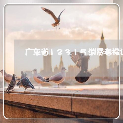 广东省12315消费者投诉/2023032438259