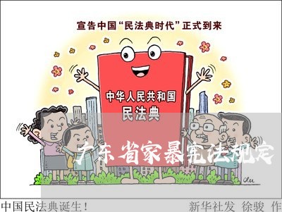 广东省家暴宪法规定/2023110741682