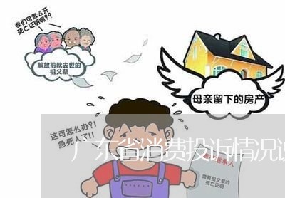 广东省消费投诉情况说明/2023030886150