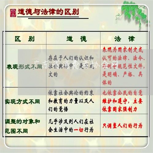 广东省消费者协会网/2023060942947