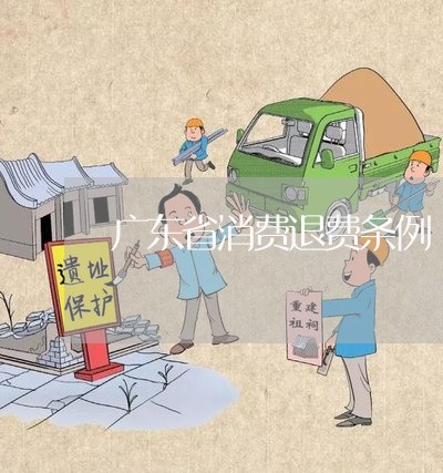 广东省消费退费条例/2023061747260