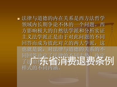 广东省消费退费条例/2023061763628