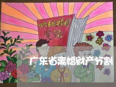 广东省离婚财产分割/2023110918037