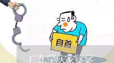 广东肇庆家暴案/2023090850602