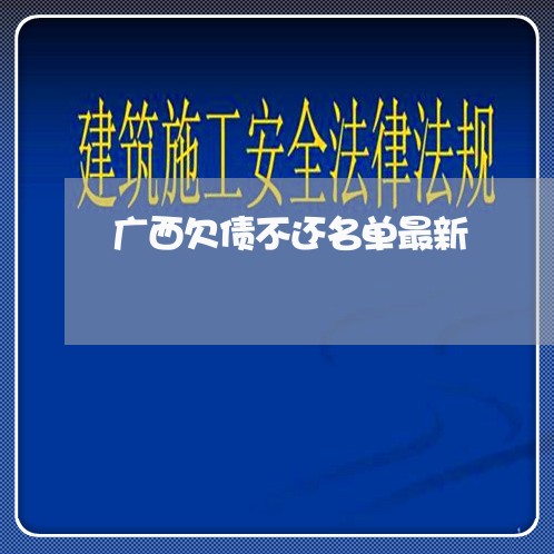 广西欠债不还名单最新/2023111019482