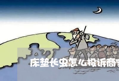 床垫长虫怎么投诉商家赔偿/2023030131705