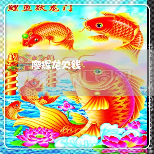 廖辉龙欠钱/2023121305849