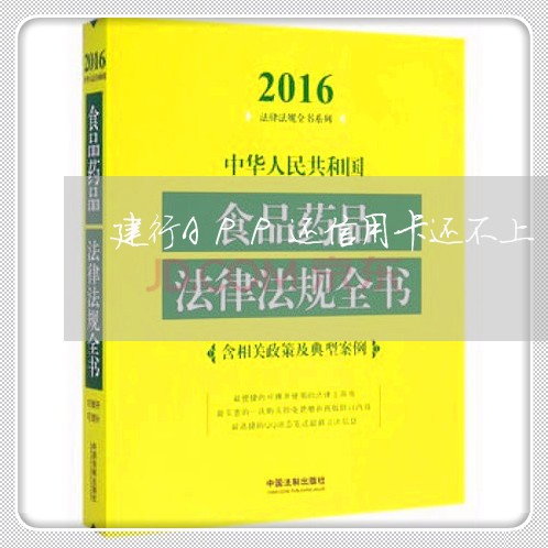 建行APP还信用卡还不上/2023112481836