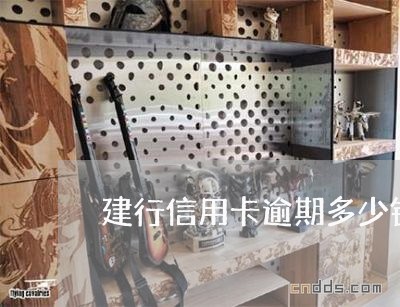 建行信用卡逾期多少钱上门/2023050284838