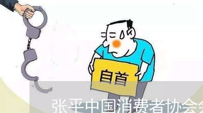 张平中国消费者协会会长/2023061575068