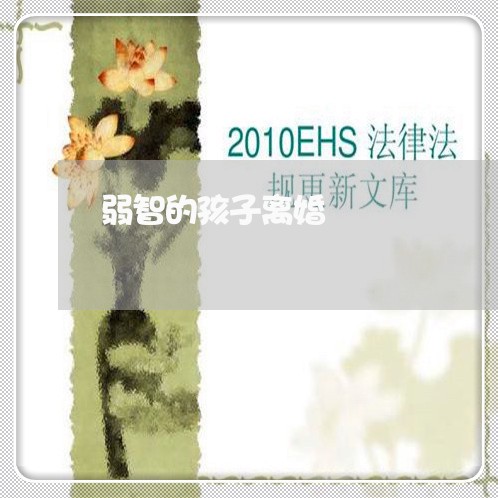 弱智的孩子离婚/2023121694958