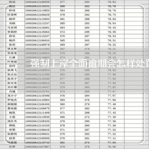 强制上岸全面逾期会怎样处罚/2023062063717